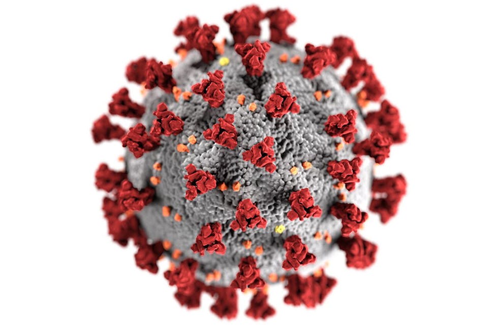 Til nett, koronavirus RGB
