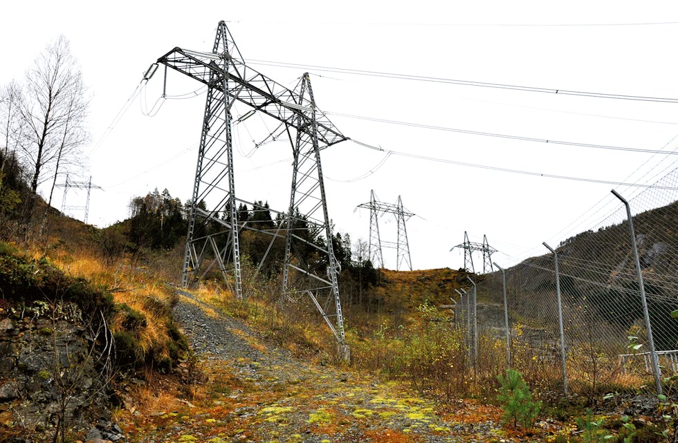 INVITERER: I dette lesarinnlegget oppmodar varaordførar Aril Røen (H) folk om å møta opp på NVE sitt folkemøte om kraftline-planar torsdag.