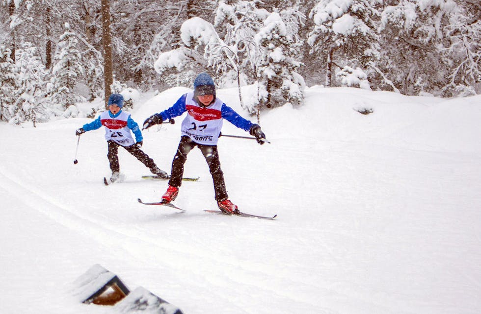 REKRUTTERINGSPROSJEKT: Langrennsgruppa ønskjer å få opp aktiviteten for skisporten og inviterer til Skisprell denne helga. 