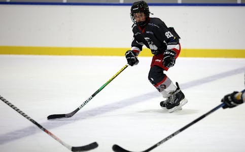 I AKSJON: Det krevst mykje konsentrasjon og balanse for å klara å spela ishockey. Roman Zhmaev har styr på teknikken. 