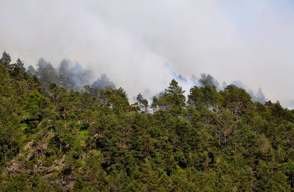 STOR RØYKUTVIKLING: Røyken frå terrengbrannen i Rolvsvåg var merkbar mange kilometer unna.