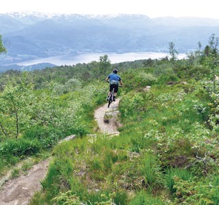PANORAMAUTSIKT: Over tregrensa kan Håkon Rolland nyta vakkert utsyn mot Samnangerfjorden. 