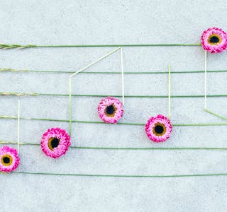 Sounds of nature. Music notes made of pink strawflowers and wild grass, on concrete background.