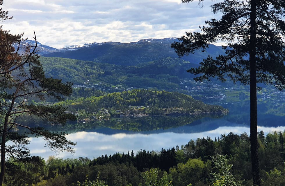 NETT hoved Utsikt over Samnangerfjorden RBG