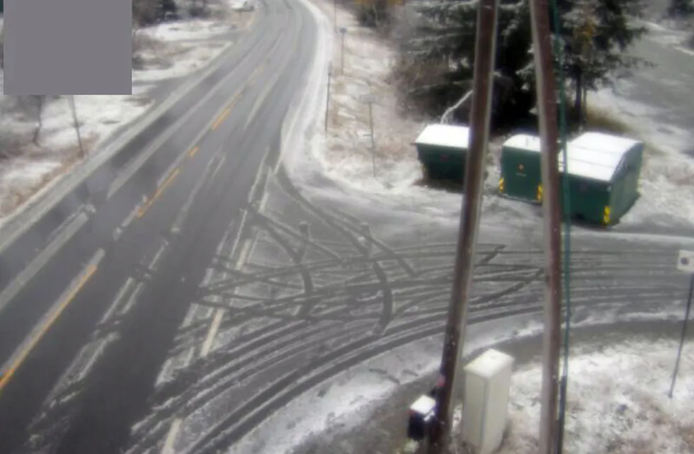 SURT: Slik ser det ut på Kvamskogen akkurat no.