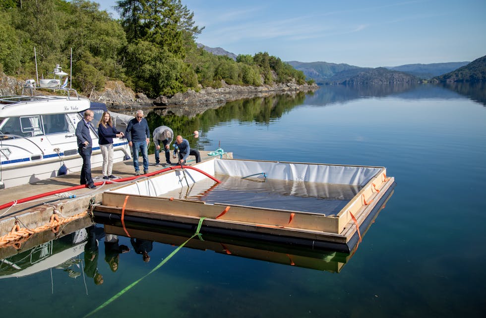I GANG: I mai starta Algel AS med produksjon av algar. Om alt går etter planen kan det snart liggja hundre merder i Samnangerfjorden. Nyleg var formannskapet på
synfaring. Frå venstre: Styreleiar og medeigar Gunnar Utskot, politikar Linda Haug Kollbotn, gründer Helge Ådland, ordførar Karl Kollbotn og marinbiolog Dag Aksnes.