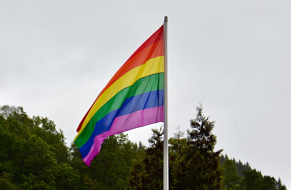 SAMLANDE? I dette debattinnlegget meiner Gunn Totland Moss (KrF) at heising av prideflagget på skulen ikkje er i tråd med Opplæringslova.