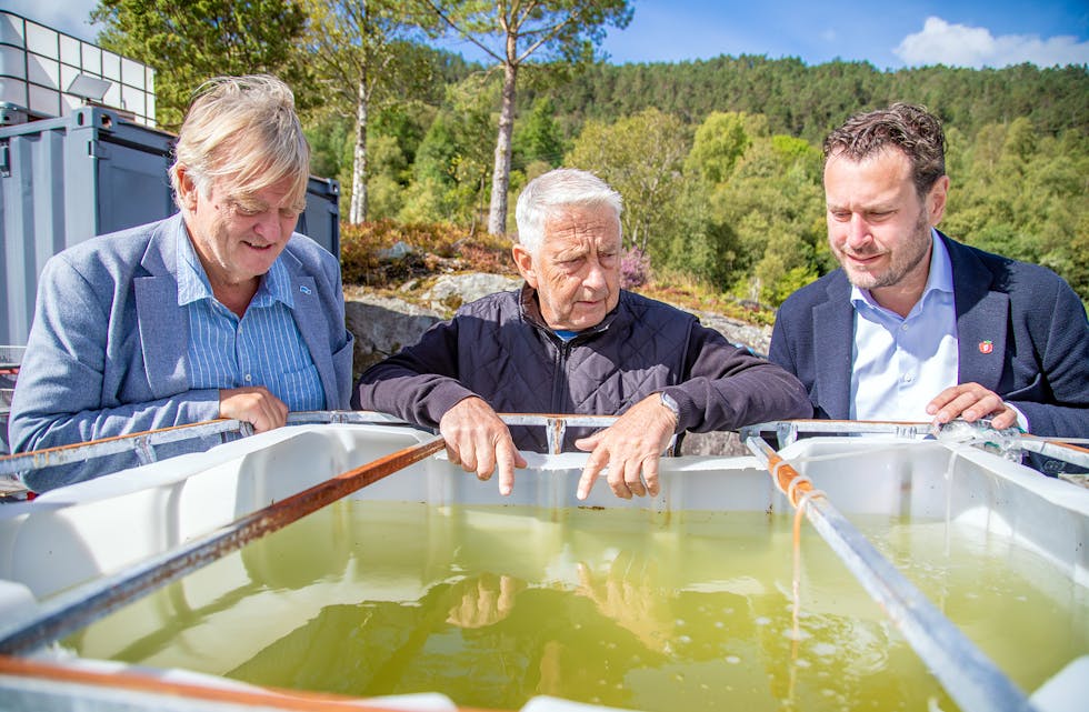 IMPONERTE: Høgre-politikar Ove Trellevik (t.v.) og og Frp-politikar Helge André Njåstad (t.h.) får omvising hos Algel AS av dagleg leiar Helge Ådland. Her kikkar dei ned i startkulturen til algeproduksjonen.