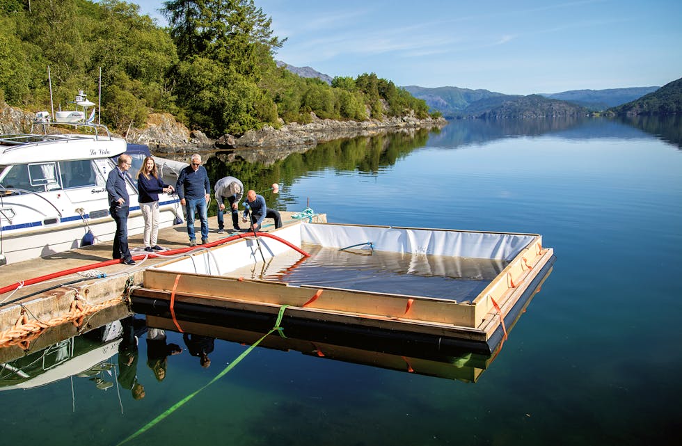 SUKSESS: I ein testfase mellom april og august har Algel AS klart å hausta inn meir algar enn dei fekk til i kar på land. Etter gode resultat, får dei no ekstra midlar frå kommunen.