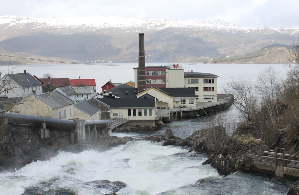 TRYGGARE FRAMTID: – Denne kontrakten betyr at me har meir faste leveransar gjennom heile året, og er difor ein god tryggleik for oss, seier Odd Aksel Bruvik.