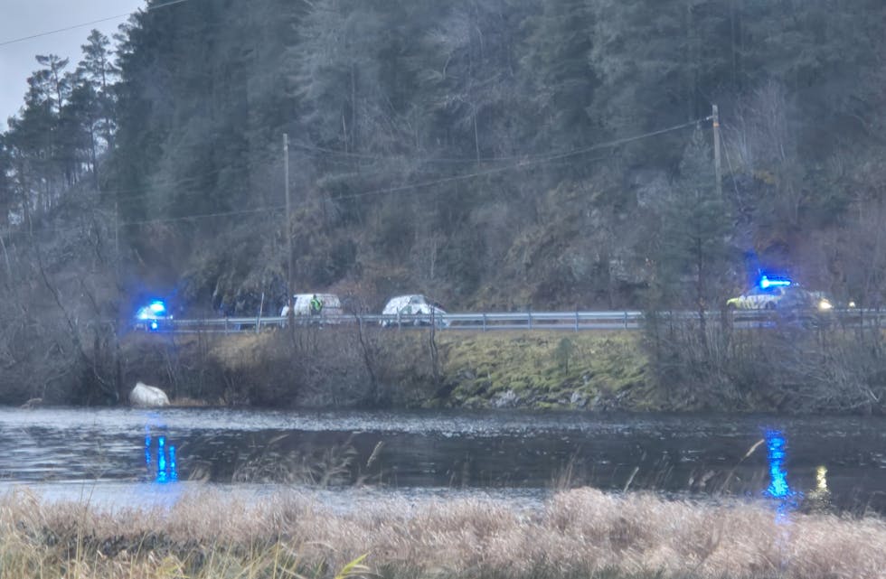 BLÅLYS: Her køyrde bilen av vegen tysdag ettermiddag.