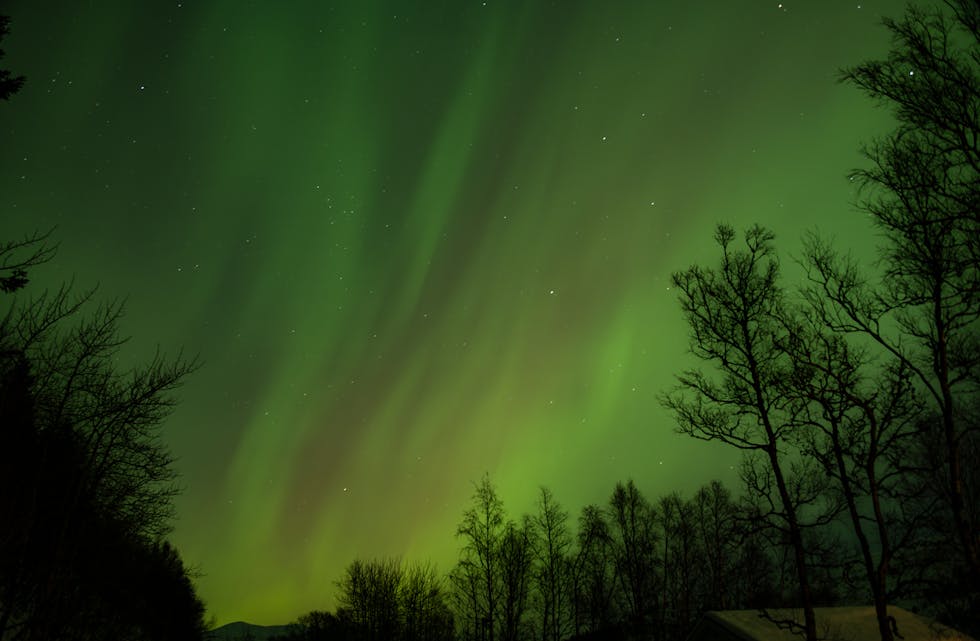 MAGISK: Biletet er teke frå Eikedalen mot Kvamskogen.