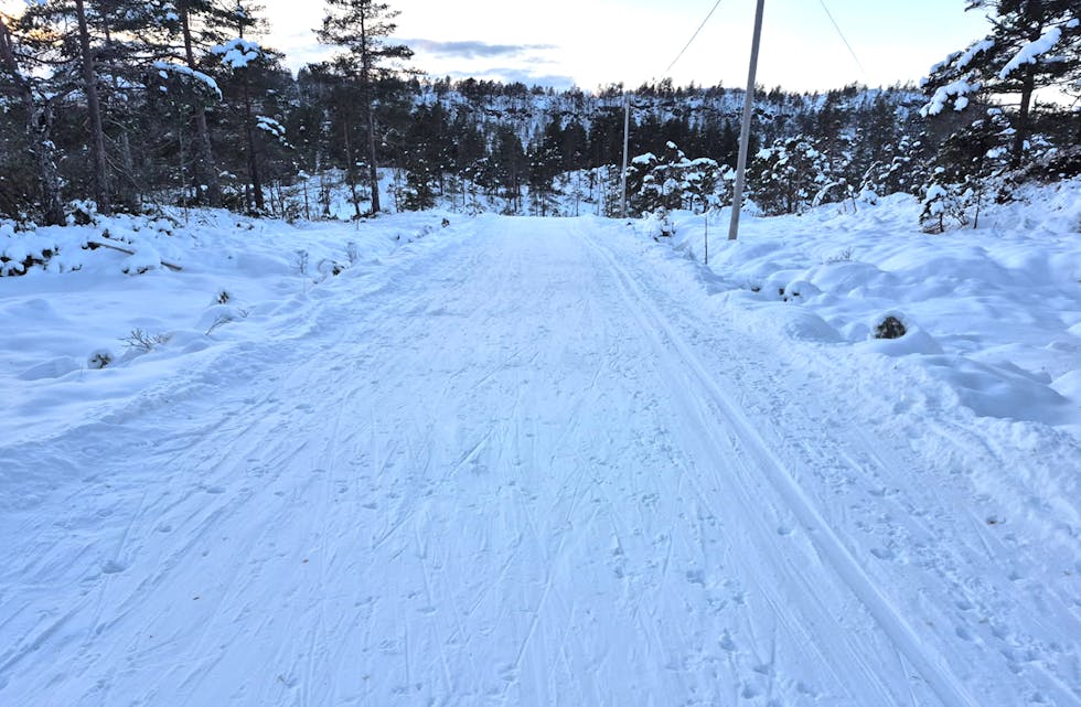 HEILT GREIE FORHOLD: Slik såg det ut i Totræna måndag denne veka. Fram mot kretsmeisterskapet i helga håpar langrennsgruppa på å få laga spor i nokre av løypene.