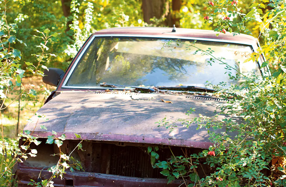 Old, broken car between green bushes