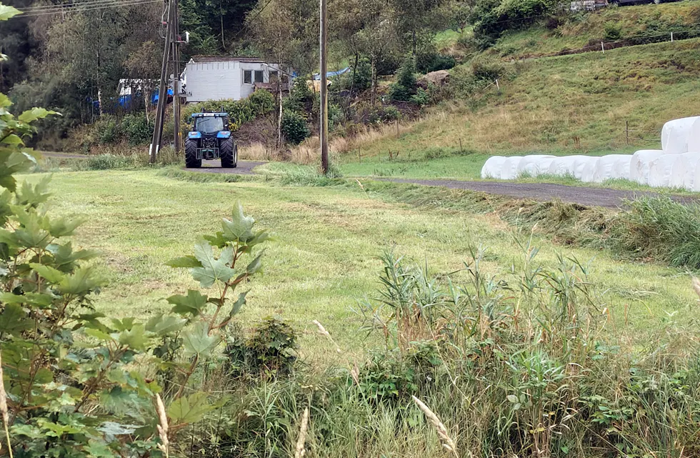 I MÅL: På Nordbø er andre slåtten i mål etter ein sommar prega av skiftande vêr. Amund Lien Aasebø seier han har fått inn det fôret han treng, sjølv om kvaliteten på andre slåtten ikkje var den beste.